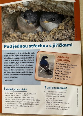 Výstavba "ptačího domu" dá mizejícím druhům šanci